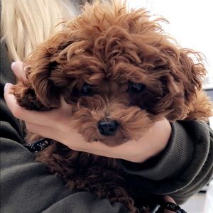 Meet your Posher, Jackie